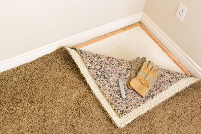 Basement Carpet Replacement in Somerset County, NJ