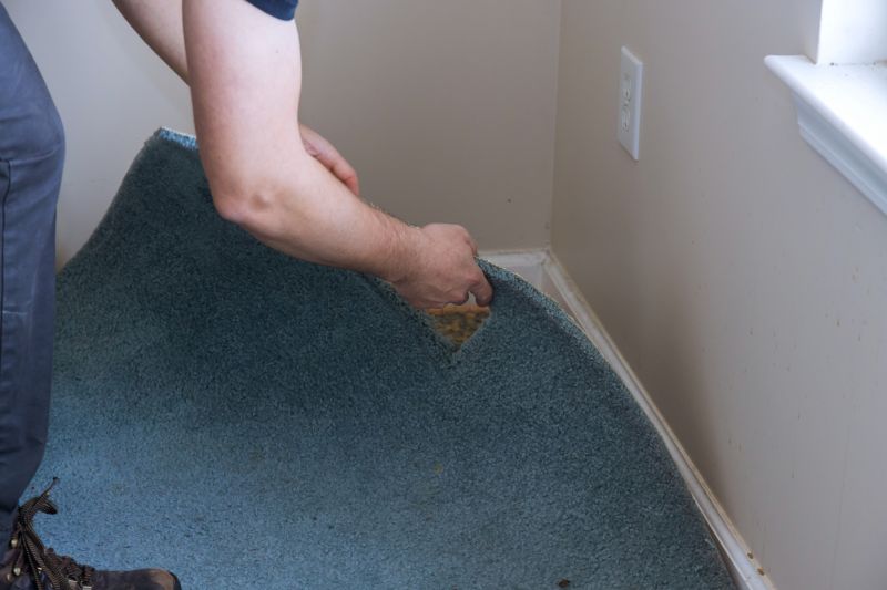 Basement Carpet Stretching in Toms River, NJ