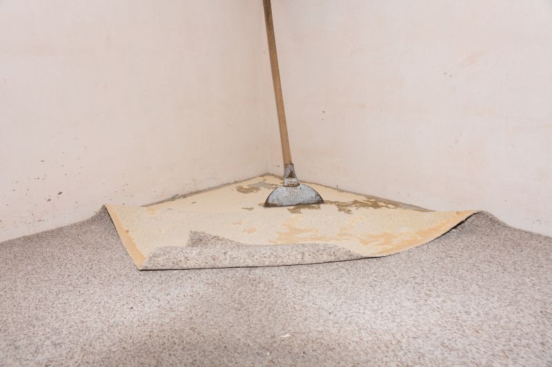 Carpet Foam Replacement in Littleton, CO