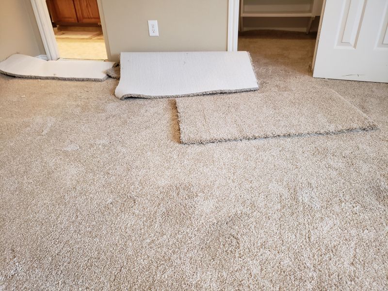Carpet Stretching in Overland Park, KS
