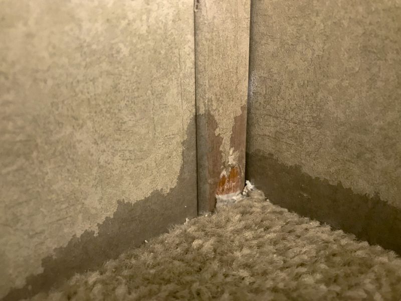 Residential Carpet Repair in Overland Park, KS