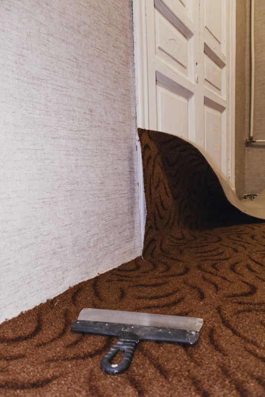 Residential Carpet Repair in Alpharetta, GA